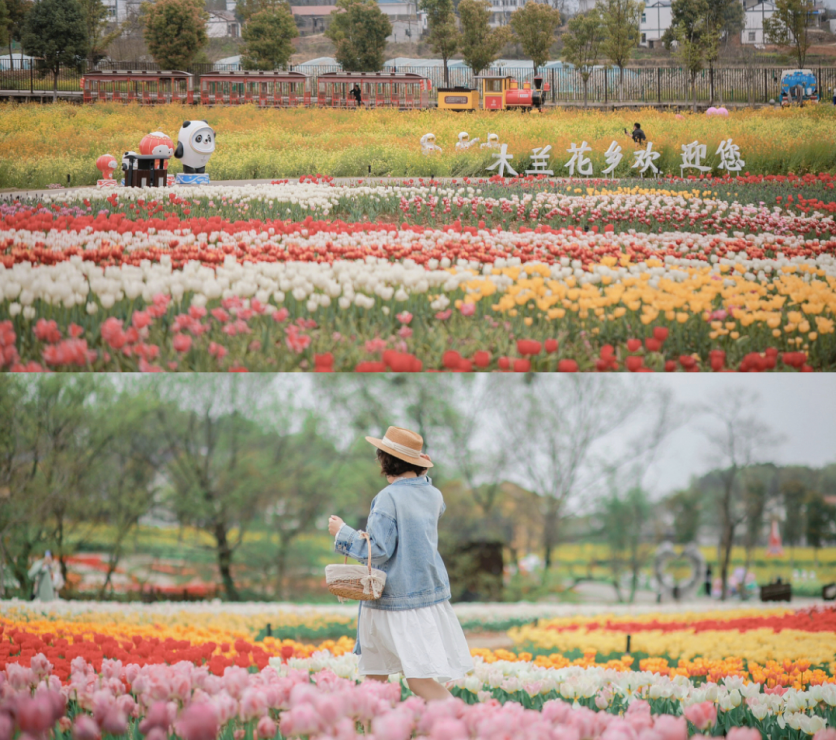 2023木兰花乡花服节游玩指南 含赏花攻略、演出活动、优惠活动等信息