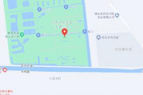 武汉郁金香公园在哪里?怎么坐车?