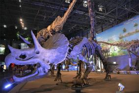 中国西峡恐龙遗迹园旅游攻略-门票价格-景点信息