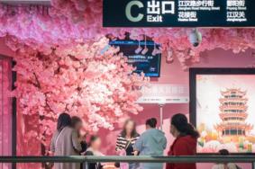 武汉樱花地铁专列打卡攻略2023