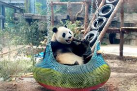 北京动物园大熊猫馆开放时间2024