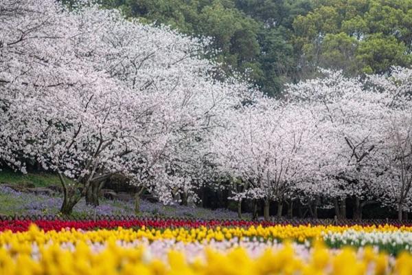 2023上方山百花节游玩指南