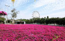 廣州花都香草世界游玩攻略-門票價格-景點信息