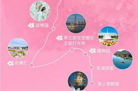 2023湖北有哪些賞櫻花的地方？這六大路線可以逐個打卡