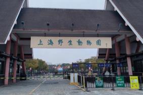 上海野生动物园门票优惠政策2023