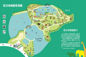 2023武漢動物園游玩攻略 - 開園時間 - 門票價格 - 優惠政策 - 交通 - 地址 - 電話 - 天氣
