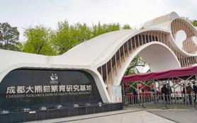 成都大熊貓基地游玩路線推薦