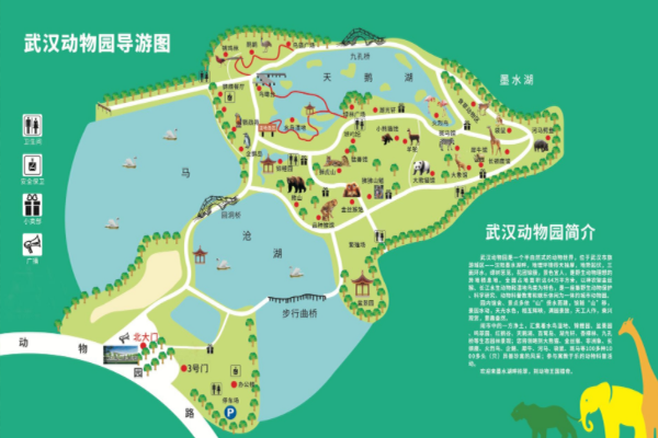 2023武汉动物园游玩攻略 - 开园时间 - 门票价格 - 优惠政策 - 交通 - 地址 - 电话 - 天气