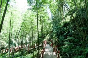 赤水竹海风景区攻略 一日游最佳路线