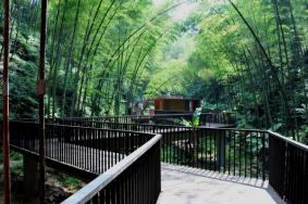 贵州赤水竹海国家森林公园主要景点有哪些