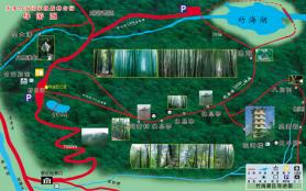 赤水竹海国家森林公园游玩攻略-门票价格-景点信息