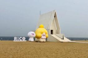 2024阿那亚门票多少钱