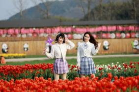 2023西九华山花千谷郁金香特惠门票 附赏花指南