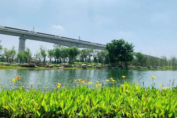 郑州适合春游踏青的地方2023