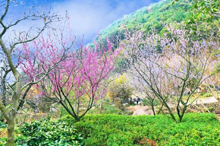 宁波九峰山景区游玩攻略-门票价格-景点信息