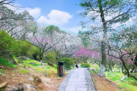 宁波九峰山景区游玩攻略-门票价格-景点信息
