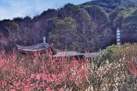 宁波九峰山景区游玩攻略-门票价格-景点信息
