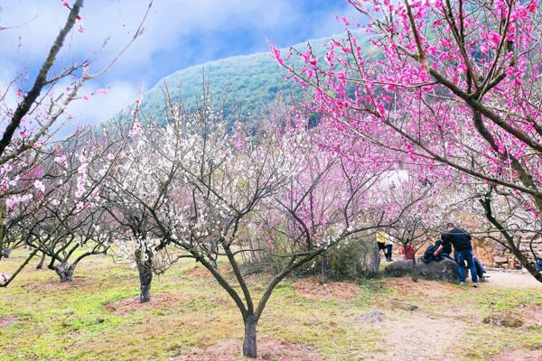 宁波九峰山风景区景点介绍