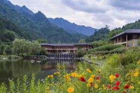 秦岭悠然山高山湿地景区电话号码是多少