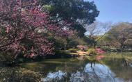 2024杭州植物园旅游攻略-门票价格-景点信息