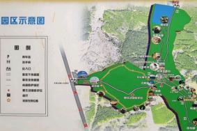 2024哈尔滨东北虎林园游玩攻略-门票价格-景点信息