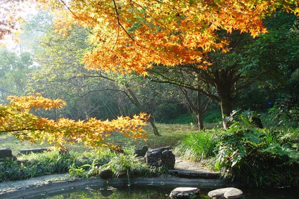2024桂林植物园游玩攻略-门票价格-景点信息