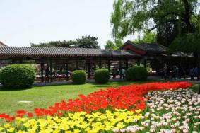 北京中山公园门票预约2024