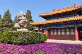 北京中山公园门票优惠政策2024