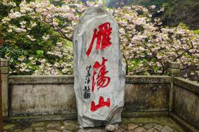 雁荡山私家车可以开进景区吗