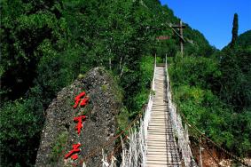 铜川薛家寨革命根据地在哪里
