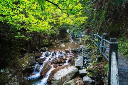 箬寮原始林景区游玩攻略-门票价格-景点信息