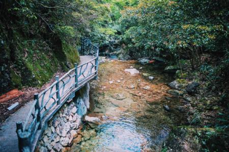 箬寮原始林景区游玩攻略-门票价格-景点信息