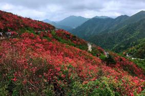 永州阳明山一日游攻略 附游玩路线