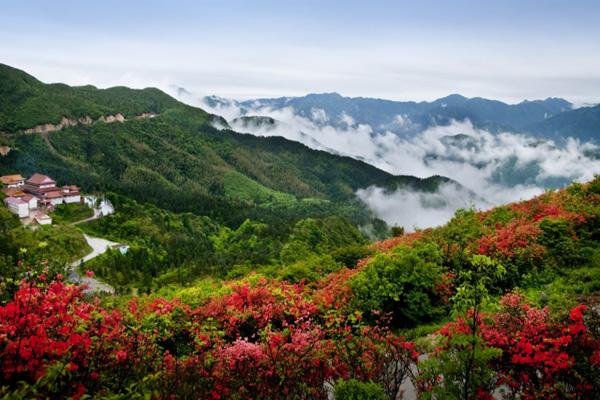 湖南永州陽明山國家森林公園游玩攻略-門票價格-景點信息