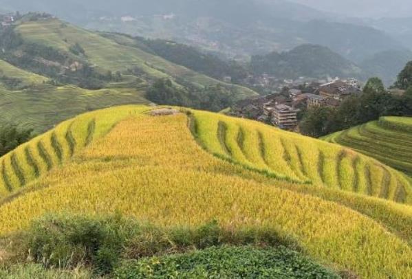 9月份开适往哪旅游 玄月份旅游景面保举