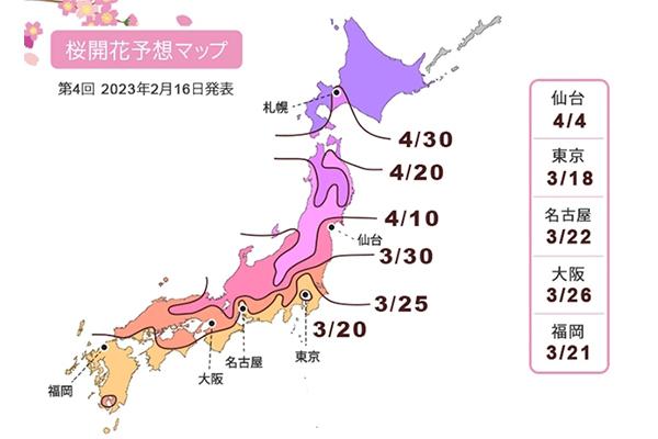 日本樱花几月开 2023日本樱花开放时间及赏樱地点介绍