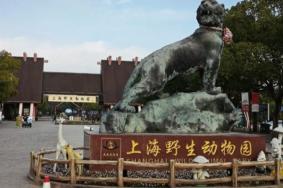 2024上海野生动物园门票价格+优惠+注意事项