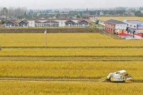 2023江苏镇江全年旅游攻略 附相关活动时间和举办地点