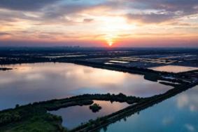 杭州大灣區濕地公園在哪 有哪些景點