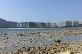 三亚赶海去哪里比较好