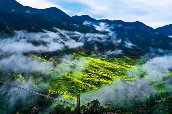 3月4月雨季的婺源应该怎么玩？这份春雨朦朦的游玩攻略可以看看