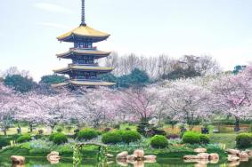 东湖樱花园有地铁直达吗