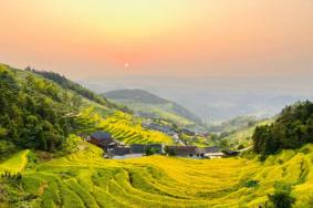 2023紫鹊界梯田最佳旅游时间