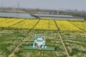 苏州同里油菜花节演出时间表2023