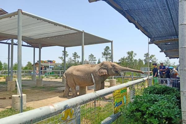 臺州灣野生動物園游玩攻略-門票價格-景點信息