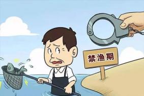 北京禁渔期新规定2023 北京禁渔期间哪几个月