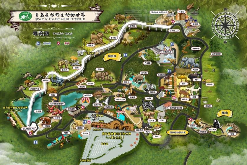 2023青岛森林野生动物世界游玩攻略 - 门票价格 - 开放时间 - 游玩项目 - 地址 - 交通 - 天气