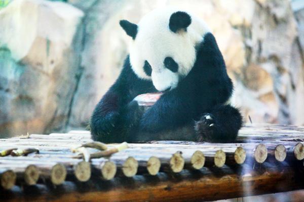 扬州动物园有哪些动物