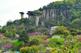 绍兴吼山桃花节什么时候开2023