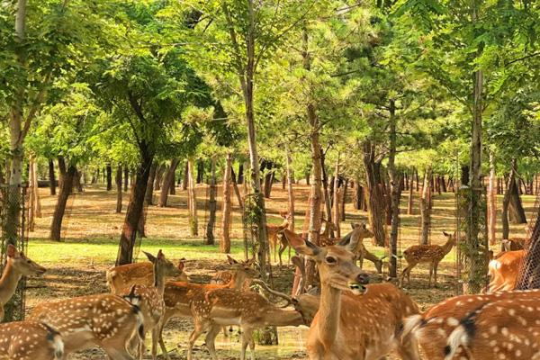 2024秦皇島野生動物園游玩攻略-門票價格-景點信息